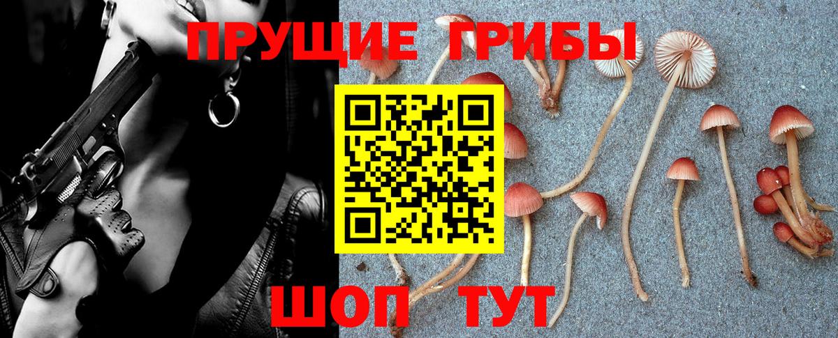 Псилоцибиновые грибы Cubensis  Псилоцибиновые грибы Psilocybine cubensis  Советск  даркнет сайт  Вход с VPN 